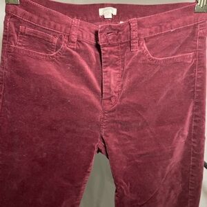 J.Crew Red/Maroon Velvet Pant Sz 28